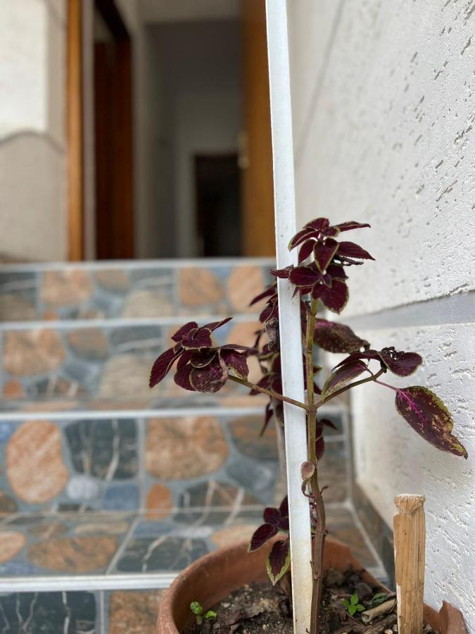 Alex Apartments Sarande Ngoại thất bức ảnh